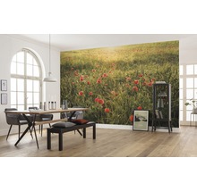 Salle à manger avec table, chaises, banc et papier peint photo avec un champ de coquelicots