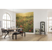 Salle à manger lumineuse avec table, chaises, banc et papier peint photo représentant un champ de coquelicots