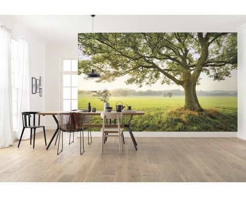Wohnraum mit Fototapete, die einen Baum auf einer grünen Wiese zeigt.