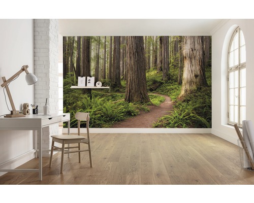 Pièce lumineuse avec bureau, chaise et papier peint photo avec motif de forêt