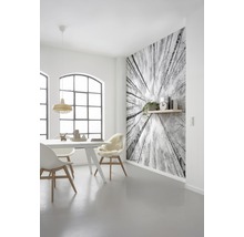 Salle à manger lumineuse avec table à manger, chaises et papier peint photo avec motif de cimes d''arbres