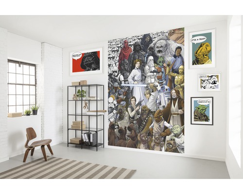 Pièce avec fresque murale Star Wars, étagères et articles de décoration