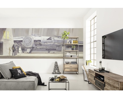 Wohnzimmer mit Sofa, Regal, Mediaschrank und Star Wars Wandbild