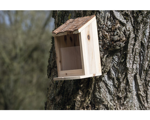 Nichoir en bois fixé à un tronc d''arbre