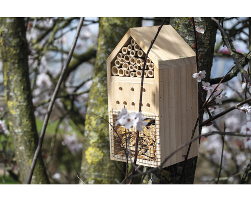 Insektenhotel aus Holz hängt an einem Baum