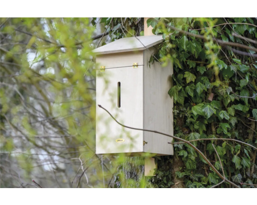 Holz-Fledermauskasten zur Anbringung an einem Baum