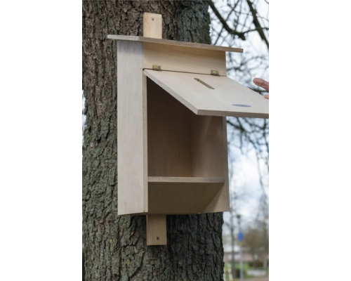 Holz-Fledermauskasten mit geöffneter Klappe an einem Baum befestigt