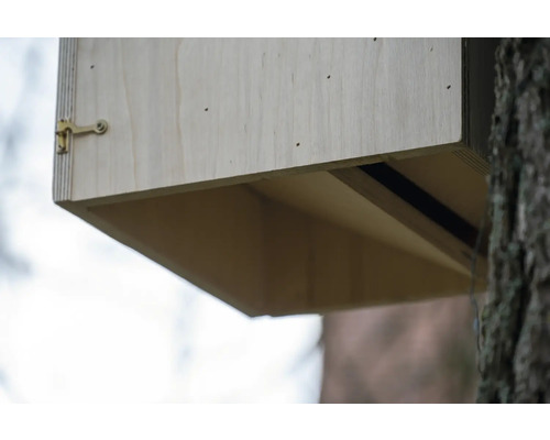 Detailaufnahme eines Fledermauskastens aus Holz, befestigt an einem Baum.