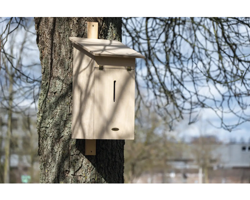 Holzkasten für Fledermäuse an einem Baum montiert