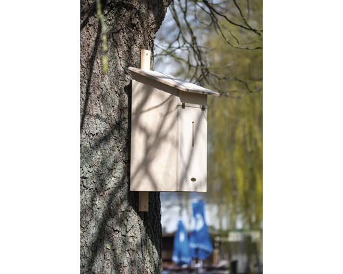 Fledermauskasten aus Holz an einem Baum befestigt