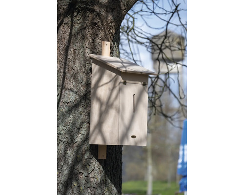 Holz-Fledermauskasten an einem Baum befestigt