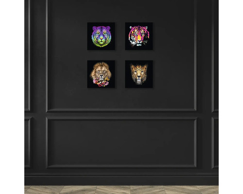 Mur avec quatre photos d''animaux : tigre, lion et léopard