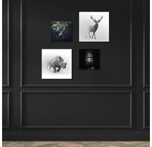 Wanddekoration mit Tierfotografien von Hirsch, Nashorn und Gorilla an einer schwarzen Wand
