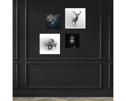 Wanddekoration mit Tierfotografien von Hirsch, Nashorn und Gorilla an einer schwarzen Wand