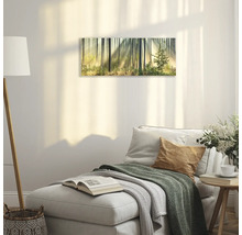 Tableau mural avec motif de forêt dans un espace de vie.