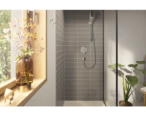 Modernes Badezimmer mit Duschkabine, Armatur und Pflanze.