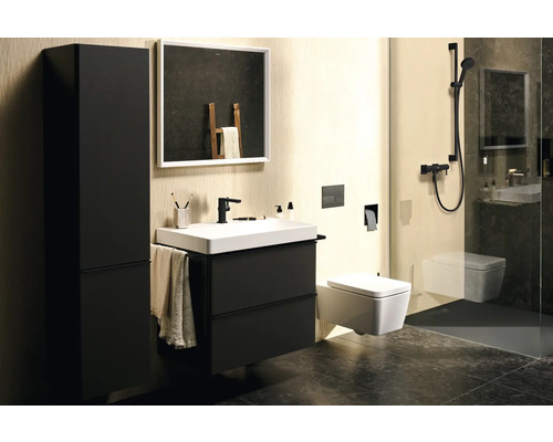 Salle de bains avec lavabo, armoire de toilette, WC et douche