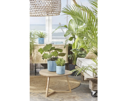 Helle Zimmeransicht mit Pflanzen, Beistelltisch, Rattanleuchte und Fenster zum Meer