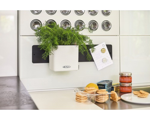 Küche mit Kräutertopf, Notizzettel, Lebensmitteln und Lechuza Logo