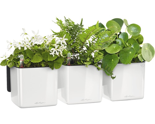 Drei weiße Pflanzgefäße mit verschiedenen Pflanzen und Bewässerungsanzeigen