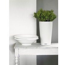 Vase Lechuza Cilindro Color Ø 23 cm h 41 cm plastique blanc avec système d'arrosage en terre, insert pour plantes, substrat et indicateur de niveau d'eau