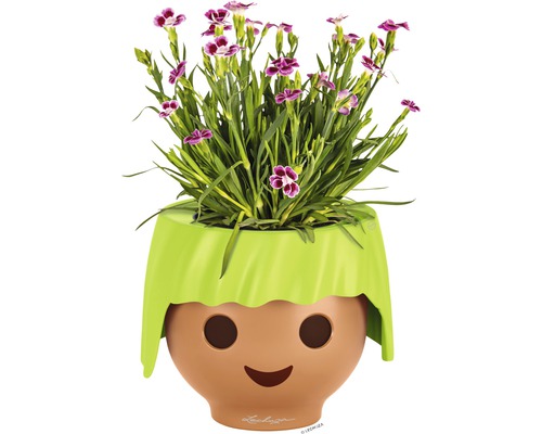 Blumentopf im verspielten Design mit Blütenpflanze