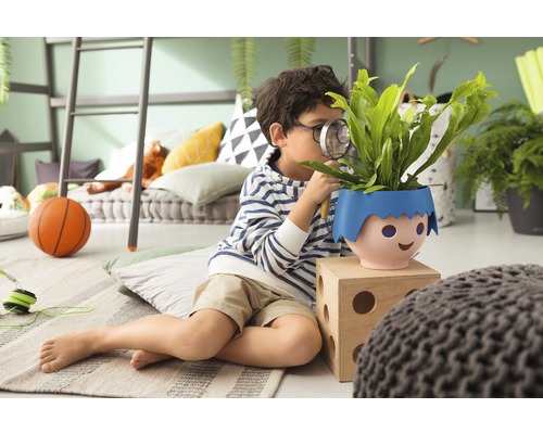 Garçon examine une plante en pot à la loupe dans une chambre.