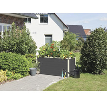 Hochbeet mit Tomatenpflanzen, Giesskanne und Gartengeräten im Garten
