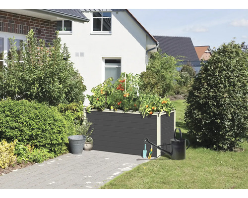 Hochbeet mit Tomatenpflanzen, Giesskanne und Gartengeräten im Garten