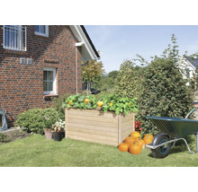 Jardinière en bois avec des potirons et des plantes de courge dans le jardin devant une maison