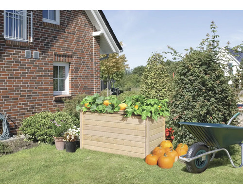 Holz-Pflanzkasten mit Kürbispflanzen und Kürbissen im Garten vor einem Haus
