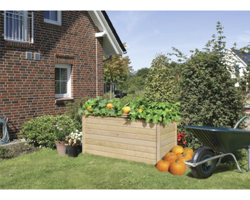 Jardinière surélevée classique Karibu 2 254x94x92 cm naturel Jardinière surélevée en bois avec des plants de potiron dans le jardin, à côté d''une maison et d''une brouette