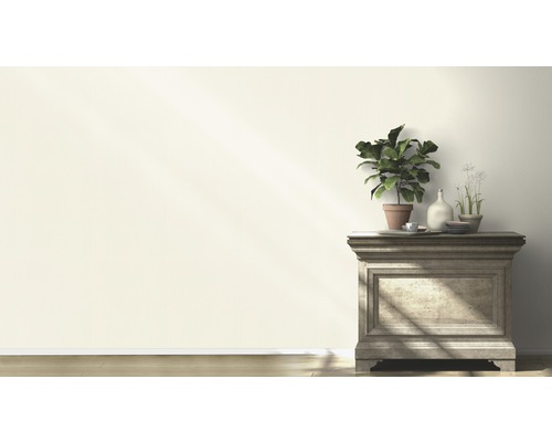 Pièce lumineuse avec commode, plantes en pot et décoration