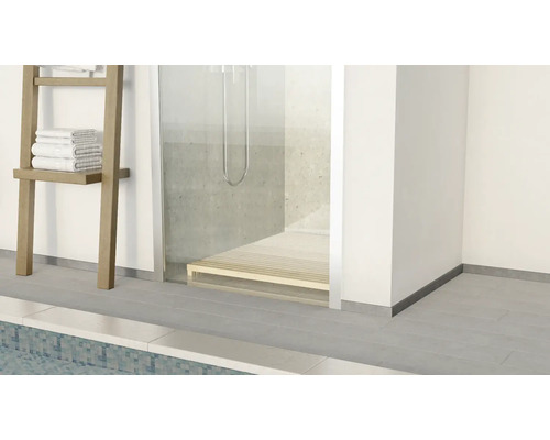 Badezimmer mit Dusche, Handtuchleiter und Fliesenboden.