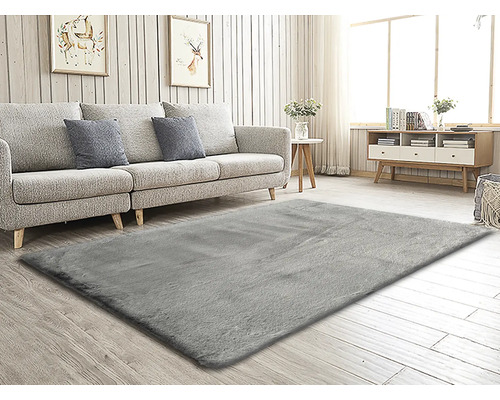 Salon avec tapis gris, canapé, table et commode