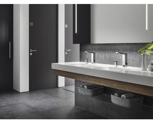 Salle de bains moderne avec double vasque, robinets et portes avec pictogrammes