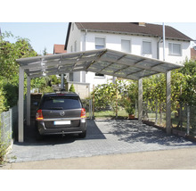 Auto unter einem Carport mit Metallrahmen und transparentem Dach.
