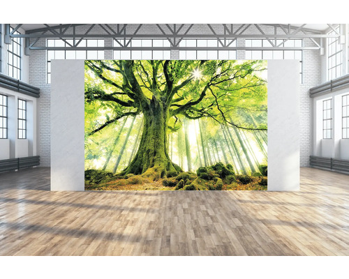 Wandtuch grüner Baum 350x250 cm