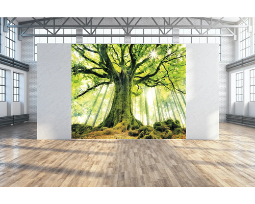 Toile murale arbre vert 300x250 cm