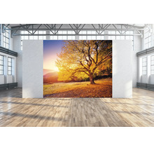 Raumansicht mit Herbstbaum Wandbild