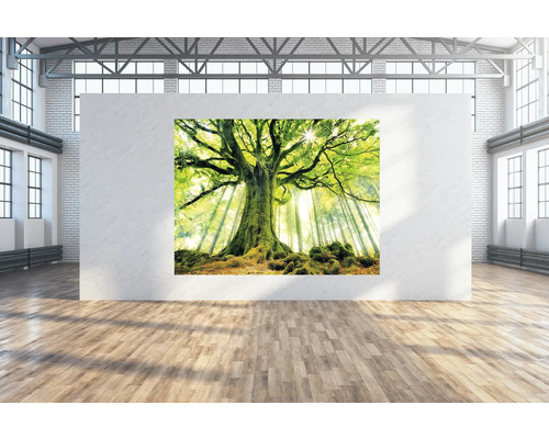 Toile murale arbre vert 250x190 cm