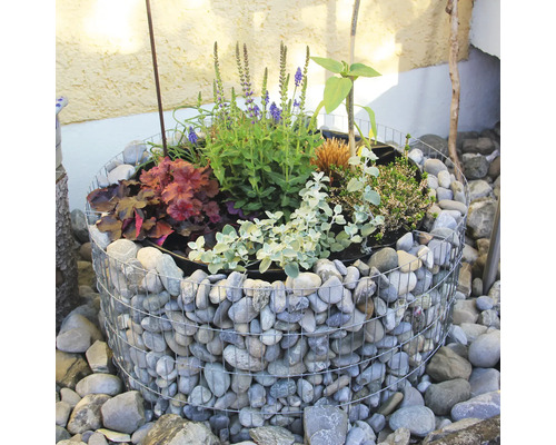 Gabionen-Blumenbeet mit verschiedenen Pflanzen und Steinen