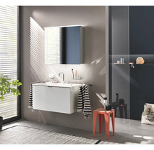 Modernes Badezimmer mit Waschbeckenunterschrank, Spiegelschrank und Dusche