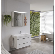 Badezimmer mit Waschbeckenunterschrank, Spiegelschrank und Bepflanzung