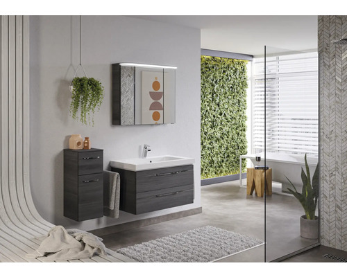 Salle de bains moderne avec lavabo, armoire de toilette, meuble bas et jardin vertical