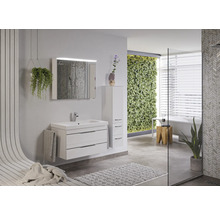 Modernes Badezimmer mit Waschtisch, Spiegelschrank, Hochschrank und vertikalem Garten