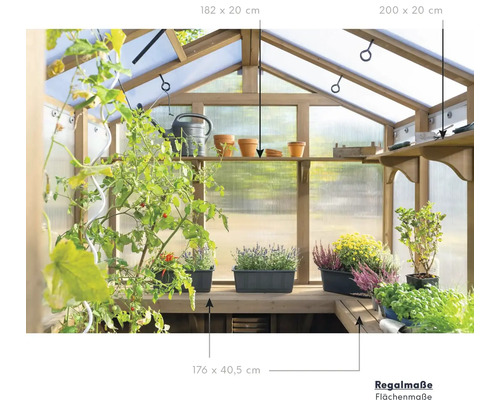 Petit classique Westmann Serre De Jardin En Polycarbonate Et Acier  Galvanisé 