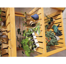 Mini serre, armoire à plantes promadino 70 x 50 x 120 cm naturel-thumb-9