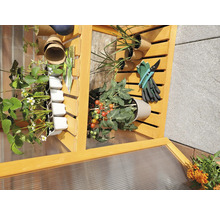 Mini serre, armoire à plantes promadino 70 x 50 x 120 cm naturel-thumb-10
