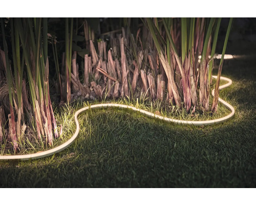 Guirlande lumineuse LED décorative dans le jardin entre les plantes